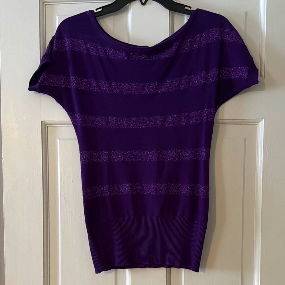 Purple Sweater with Metallic Stripes